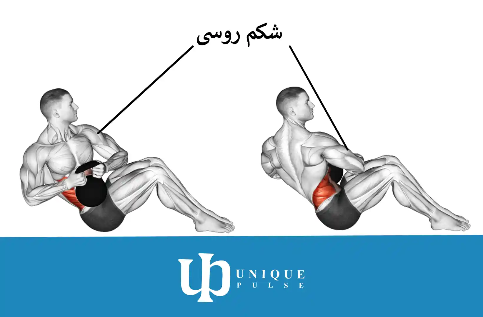 چطور دور کمر باریک داشته باشیم؟ یونیک پالس 